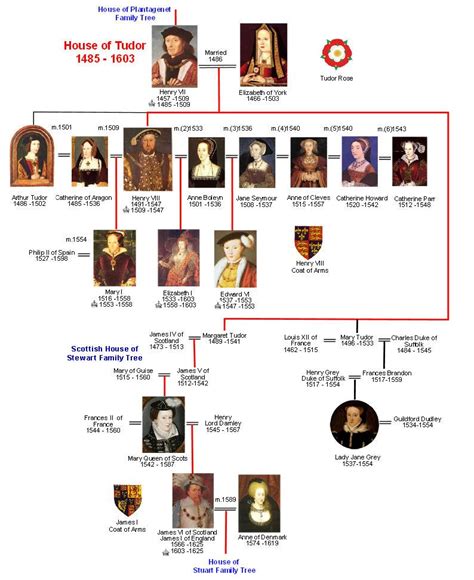 tudor and stuart monarchs family tree|henry viii succession tree.